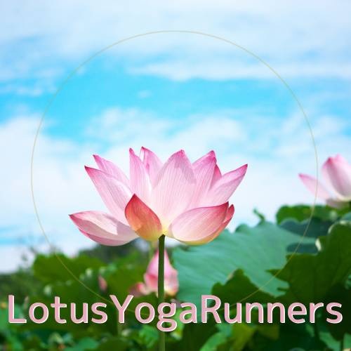 LotusYogaRunnersのロゴ